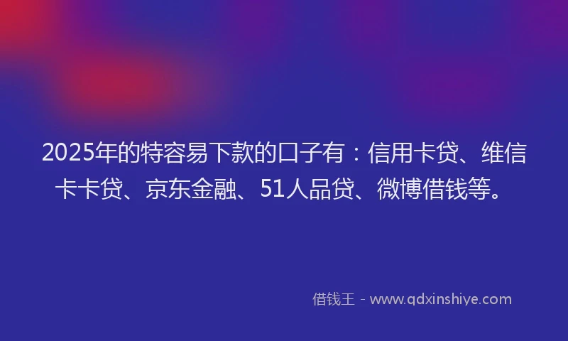 2025年的特容易下款的口子有：信用卡贷、维信卡卡贷、京东金融、51人品贷、微博借钱等。