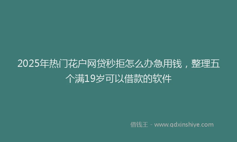 2025年热门花户网贷秒拒怎么办急用钱，整理五个满19岁可以借款的软件
