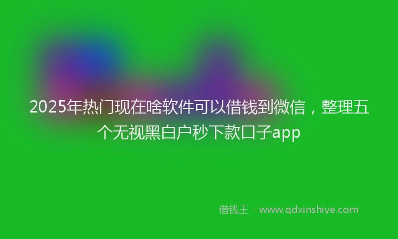 2025年热门现在啥软件可以借钱到微信，整理五个无视黑白户秒下款口子app