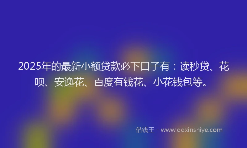 2025年的最新小额贷款必下口子有：读秒贷、花呗、安逸花、百度有钱花、小花钱包等。