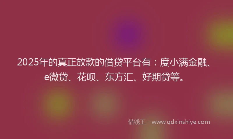 2025年的真正放款的借贷平台有：度小满金融、e微贷、花呗、东方汇、好期贷等。