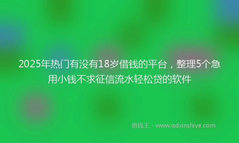 2025年热门有没有18岁借钱的平台，整理5个急用小钱不求征信流水轻松贷的软件