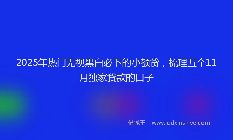 2025年热门无视黑白必下的小额贷，梳理五个11月独家贷款的口子