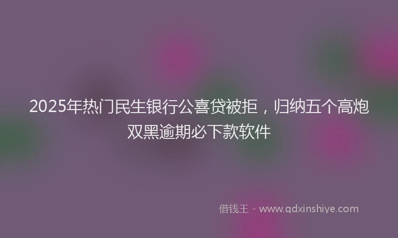 2025年热门民生银行公喜贷被拒，归纳五个高炮双黑逾期必下款软件