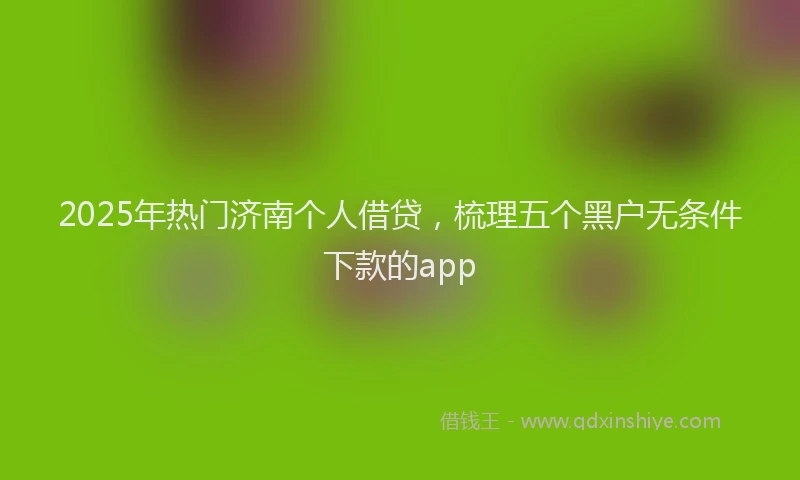 2025年热门济南个人借贷，梳理五个黑户无条件下款的app