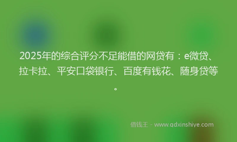 2025年的综合评分不足能借的网贷有：e微贷、拉卡拉、平安口袋银行、百度有钱花、随身贷等。