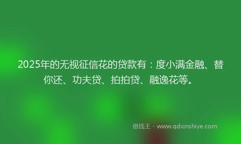 2025年的无视征信花的贷款有：度小满金融、替你还、功夫贷、拍拍贷、融逸花等。