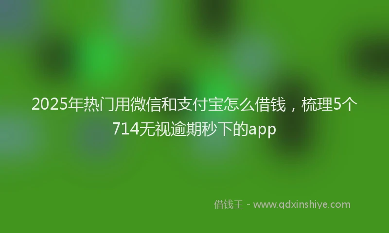 2025年热门用微信和支付宝怎么借钱，梳理5个714无视逾期秒下的app
