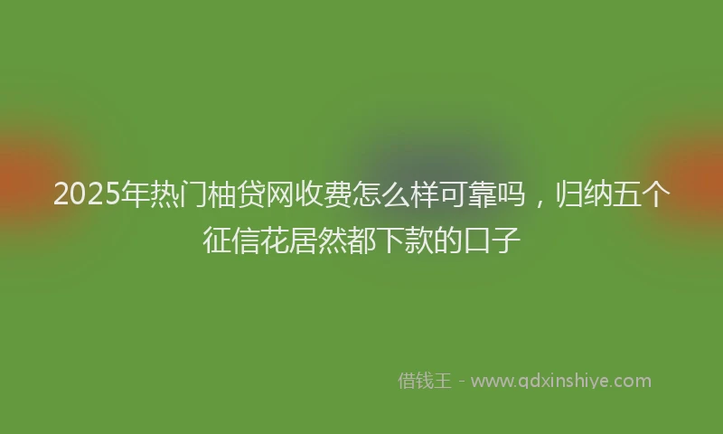 2025年热门柚贷网收费怎么样可靠吗，归纳五个征信花居然都下款的口子