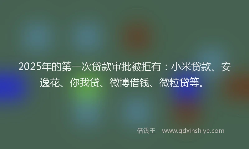 2025年的第一次贷款审批被拒有：小米贷款、安逸花、你我贷、微博借钱、微粒贷等。
