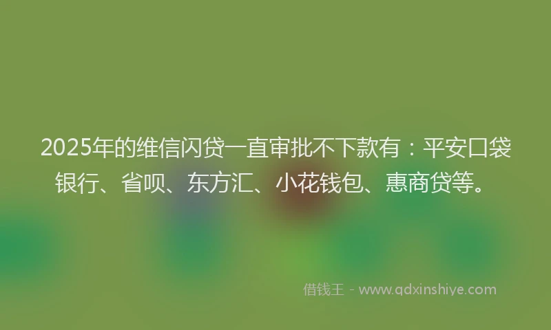 2025年的维信闪贷一直审批不下款有：平安口袋银行、省呗、东方汇、小花钱包、惠商贷等。