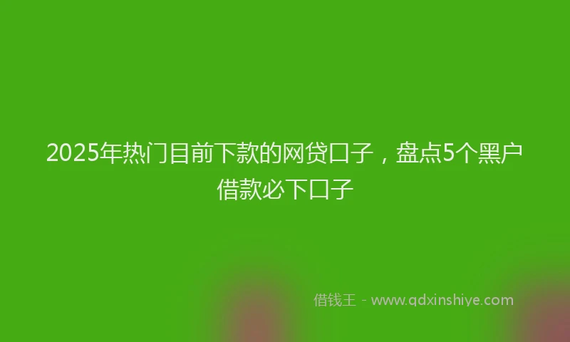 2025年热门目前下款的网贷口子，盘点5个黑户借款必下口子