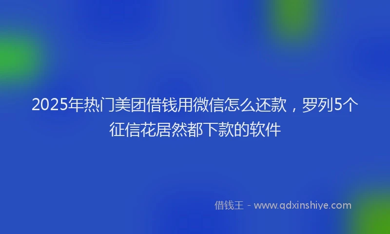 2025年热门美团借钱用微信怎么还款，罗列5个征信花居然都下款的软件