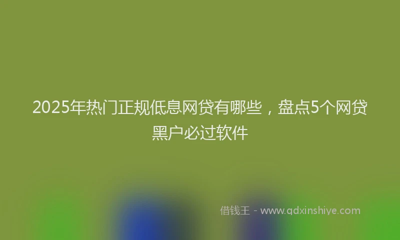 2025年热门正规低息网贷有哪些，盘点5个网贷黑户必过软件