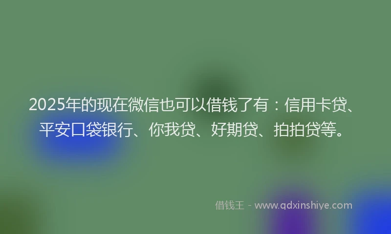 2025年的现在微信也可以借钱了有：信用卡贷、平安口袋银行、你我贷、好期贷、拍拍贷等。
