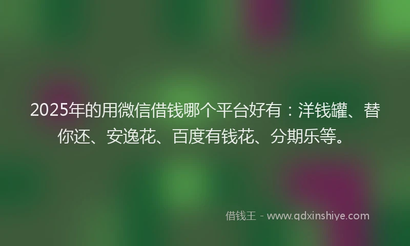 2025年的用微信借钱哪个平台好有：洋钱罐、替你还、安逸花、百度有钱花、分期乐等。