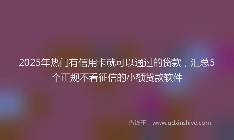 2025年热门有信用卡就可以通过的贷款，汇总5个正规不看征信的小额贷款软件