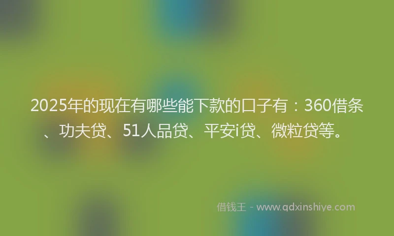 2025年的现在有哪些能下款的口子有：360借条、功夫贷、51人品贷、平安i贷、微粒贷等。