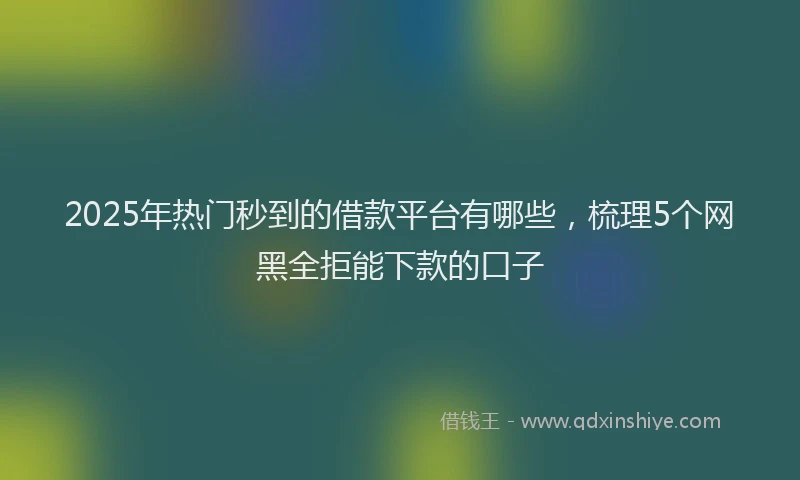 2025年热门秒到的借款平台有哪些，梳理5个网黑全拒能下款的口子