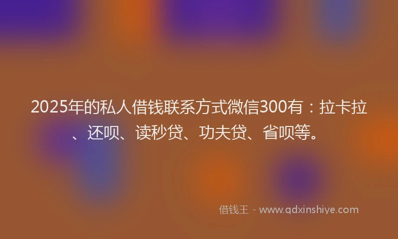 2025年的私人借钱联系方式微信300有：拉卡拉、还呗、读秒贷、功夫贷、省呗等。