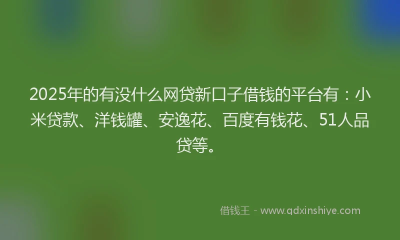 2025年的有没什么网贷新口子借钱的平台有：小米贷款、洋钱罐、安逸花、百度有钱花、51人品贷等。