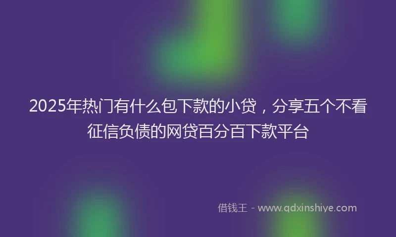 2025年热门有什么包下款的小贷，分享五个不看征信负债的网贷百分百下款平台