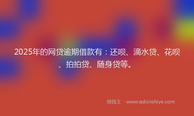 2025年的网贷逾期借款有：还呗、滴水贷、花呗、拍拍贷、随身贷等。
