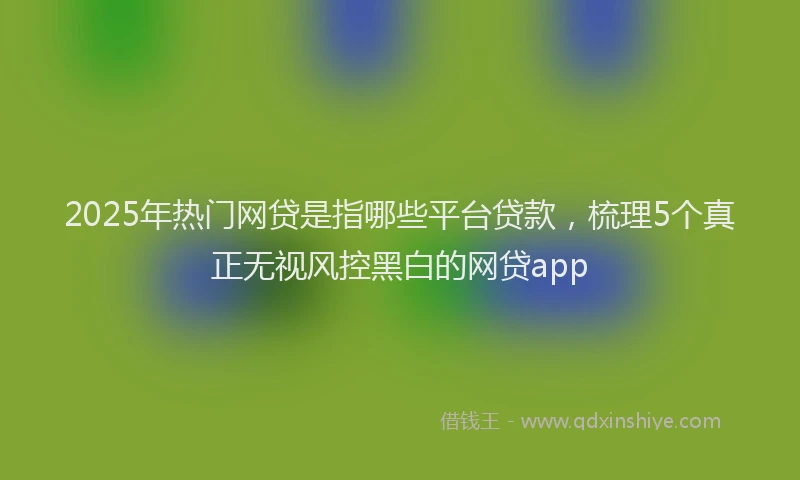 2025年热门网贷是指哪些平台贷款，梳理5个真正无视风控黑白的网贷app