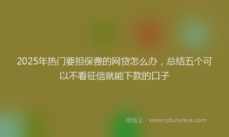 2025年热门要担保费的网贷怎么办，总结五个可以不看征信就能下款的口子