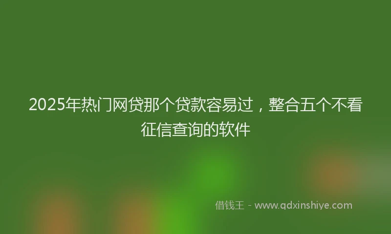 2025年热门网贷那个贷款容易过，整合五个不看征信查询的软件