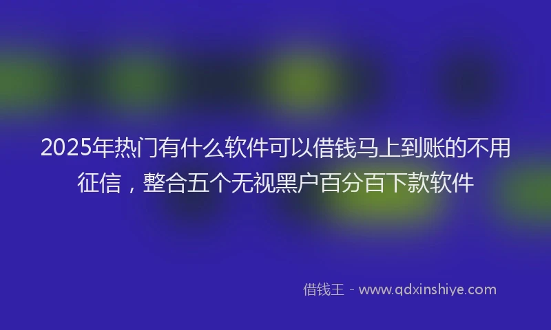 2025年热门有什么软件可以借钱马上到账的不用征信，整合五个无视黑户百分百下款软件