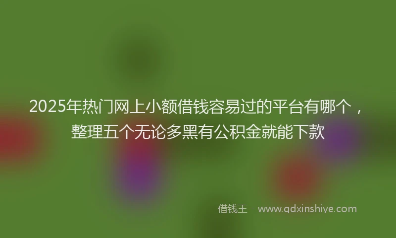 2025年热门网上小额借钱容易过的平台有哪个，整理五个无论多黑有公积金就能下款