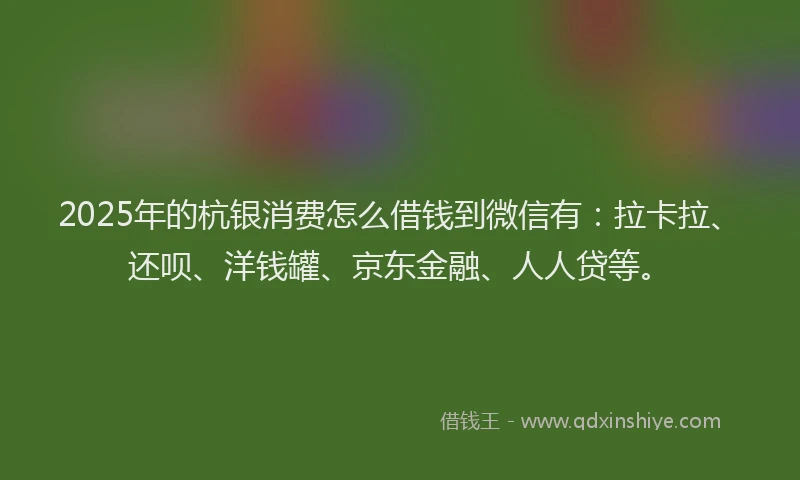 2025年的杭银消费怎么借钱到微信有：拉卡拉、还呗、洋钱罐、京东金融、人人贷等。