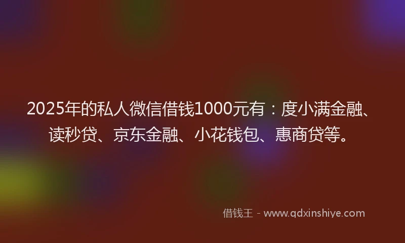 2025年的私人微信借钱1000元有：度小满金融、读秒贷、京东金融、小花钱包、惠商贷等。