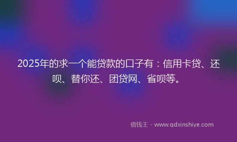 2025年的求一个能贷款的口子有：信用卡贷、还呗、替你还、团贷网、省呗等。