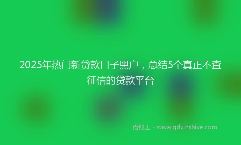 2025年热门新贷款口子黑户，总结5个真正不查征信的贷款平台