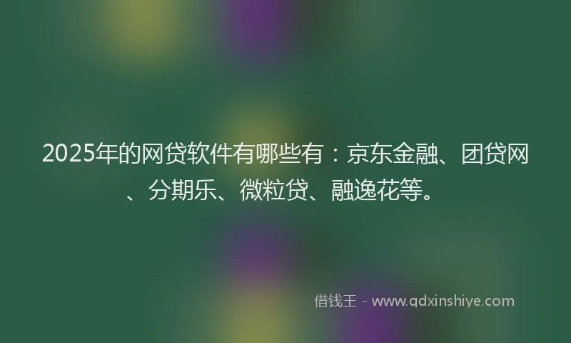 2025年的网贷软件有哪些有：京东金融、团贷网、分期乐、微粒贷、融逸花等。