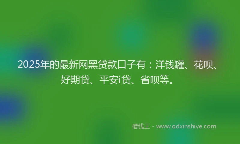 2025年的最新网黑贷款口子有：洋钱罐、花呗、好期贷、平安i贷、省呗等。