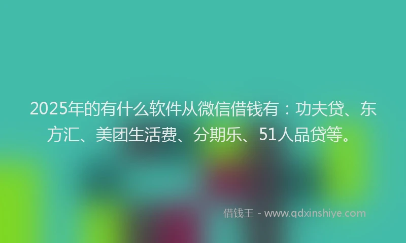 2025年的有什么软件从微信借钱有：功夫贷、东方汇、美团生活费、分期乐、51人品贷等。