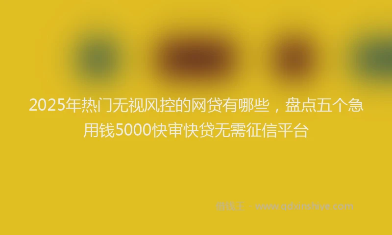 2025年热门无视风控的网贷有哪些，盘点五个急用钱5000快审快贷无需征信平台