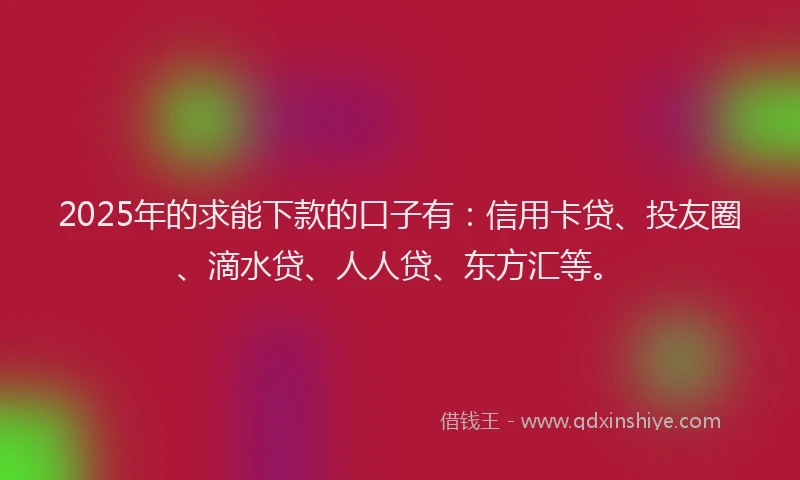 2025年的求能下款的口子有：信用卡贷、投友圈、滴水贷、人人贷、东方汇等。