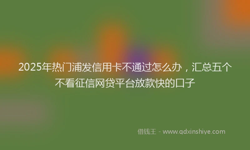 2025年热门浦发信用卡不通过怎么办，汇总五个不看征信网贷平台放款快的口子