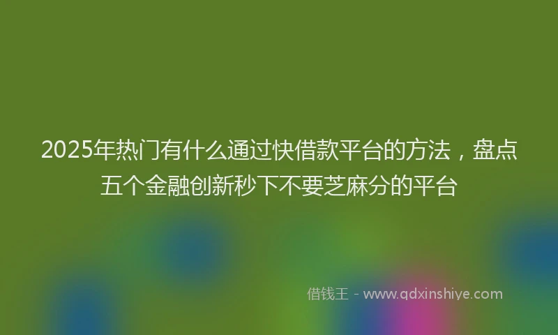 2025年热门有什么通过快借款平台的方法，盘点五个金融创新秒下不要芝麻分的平台