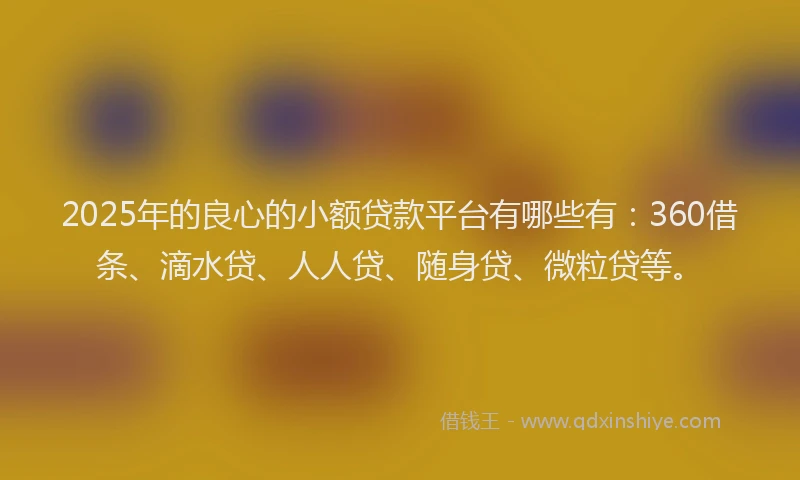 2025年的良心的小额贷款平台有哪些有：360借条、滴水贷、人人贷、随身贷、微粒贷等。