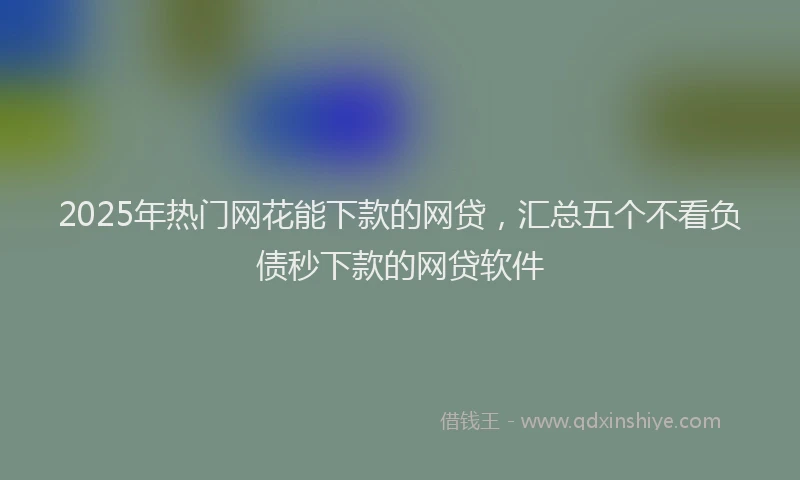 2025年热门网花能下款的网贷，汇总五个不看负债秒下款的网贷软件