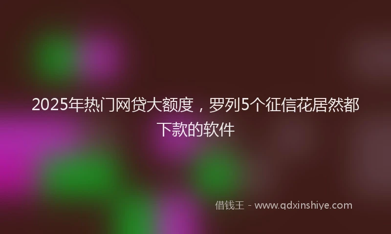 2025年热门网贷大额度，罗列5个征信花居然都下款的软件