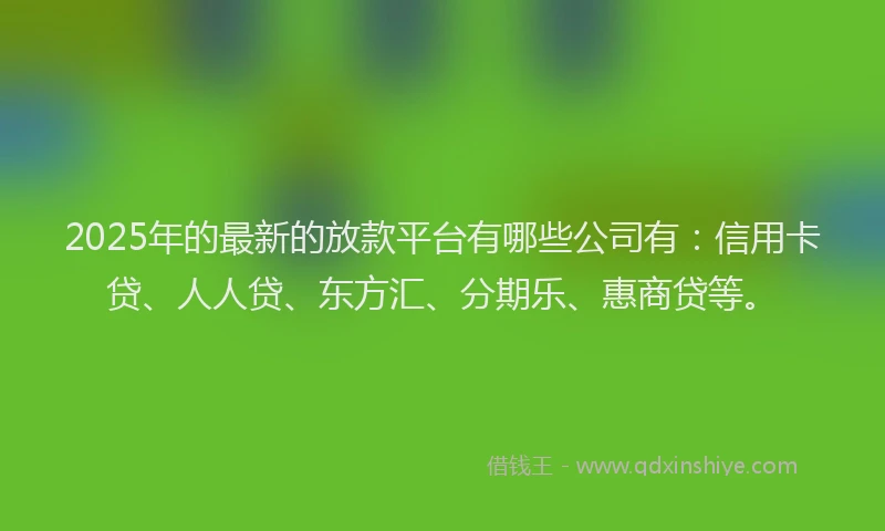2025年的最新的放款平台有哪些公司有：信用卡贷、人人贷、东方汇、分期乐、惠商贷等。