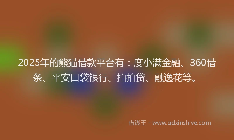 2025年的熊猫借款平台有：度小满金融、360借条、平安口袋银行、拍拍贷、融逸花等。