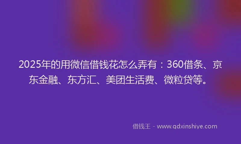 2025年的用微信借钱花怎么弄有：360借条、京东金融、东方汇、美团生活费、微粒贷等。