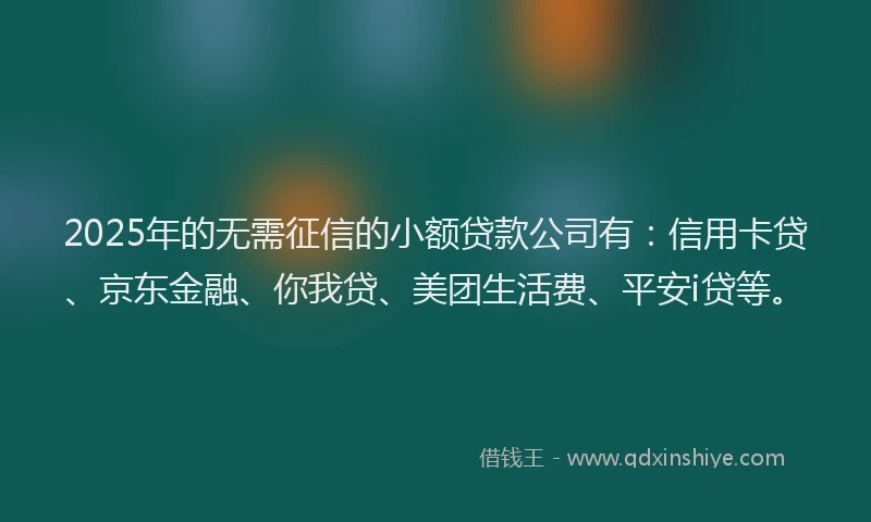 2025年的无需征信的小额贷款公司有：信用卡贷、京东金融、你我贷、美团生活费、平安i贷等。